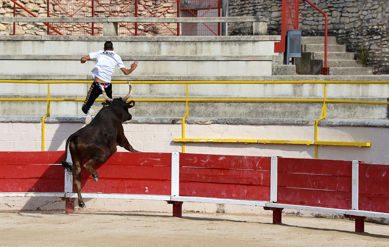 勇士与尼克